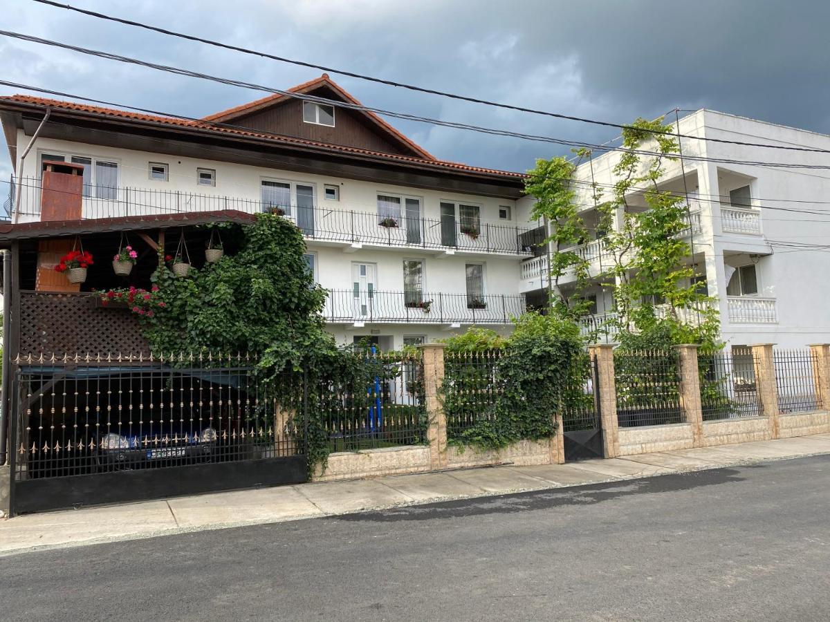 多亚马伊 Casa Ciobi酒店 外观 照片